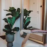 דירה Casarosa Attico 3br, 3ba