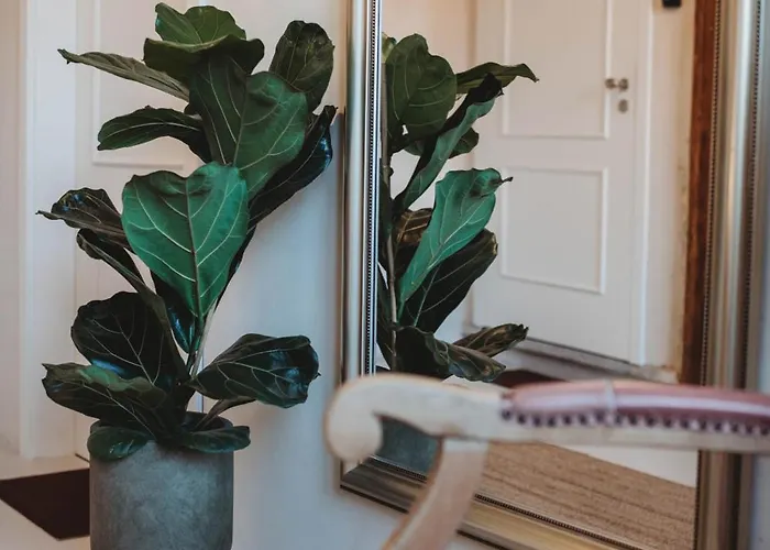 Apartmán Casarosa Attico 3br, 3ba